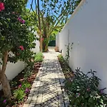 Golfinho, With Heated Pool, Rooftop Lounge And Ocean Views Willa