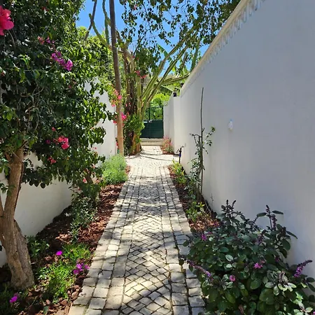 Golfinho, With Heated Pool, Rooftop Lounge And Ocean Views Vila