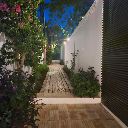 Golfinho, With Heated Pool, Rooftop Lounge And Ocean Views וילה
